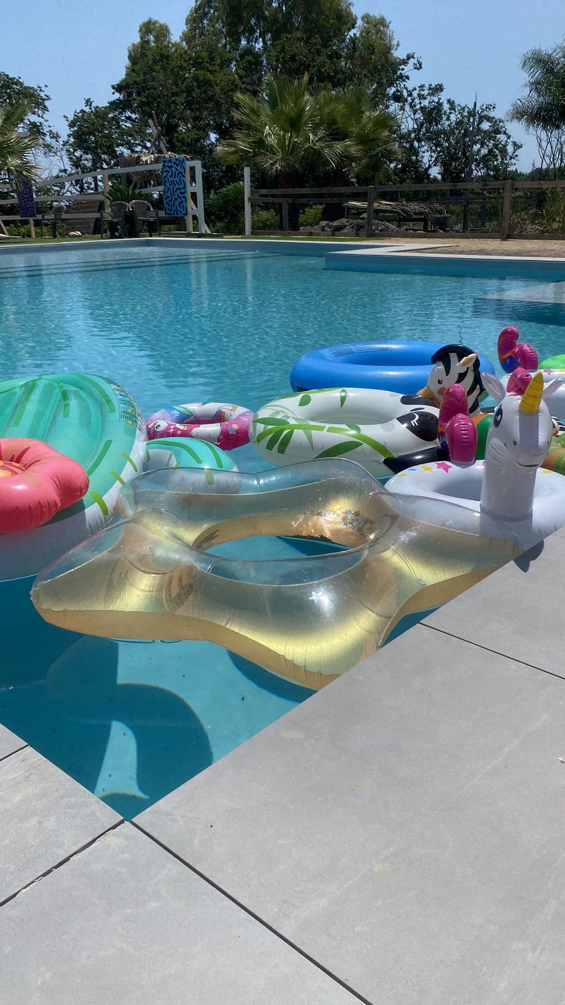 Location con piscina & fattoria