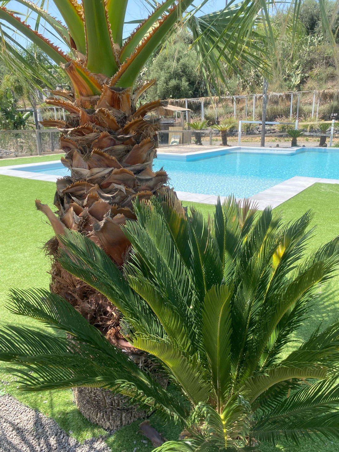 Location con piscina & fattoria